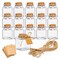 15 Pack Small Glass Bottles with Cork Stoppers - 1.7 oz (50ml) Mini Jars with Twine and Blank Tags for Gift Favors, Spices, Crafts